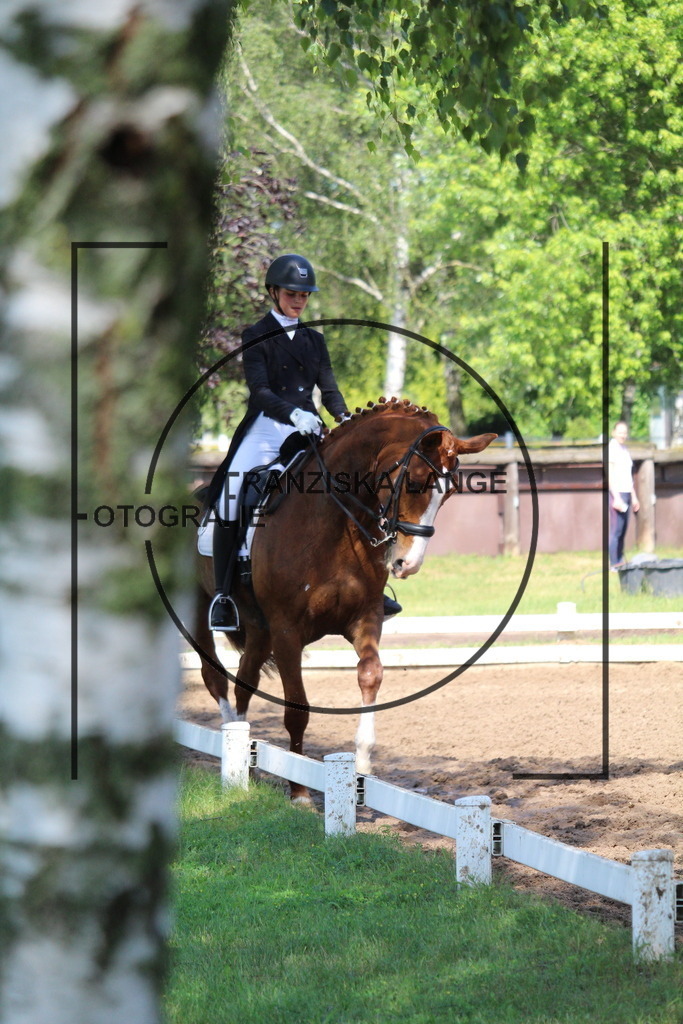 IMG_7120 | franziskalange - Realisiert mit Pictrs.com