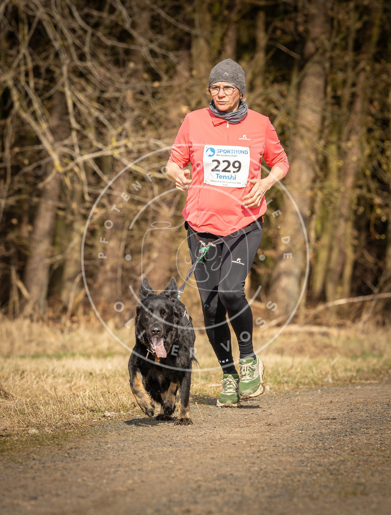 DV3A5473 | Hundefotografie, Tierfotograf, Pfotenfotografie, Fotoshooting Hund, Hunde Portrait, Hundesport, Hundeportraits, Heideshooting, Hunde, Sportfotograf, Hundefotograf, Turnierhundsport, THS,  - Realisiert mit Pictrs.com