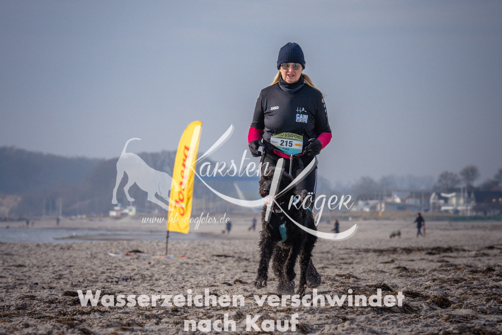 1012_ZZ94169 | kk-dogfotos