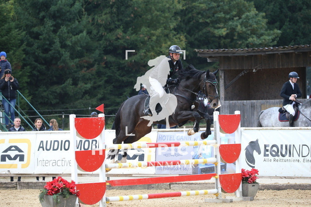 DL2Q0898 | Willkommen bei Brunnmayr - Design & Fotografie – Ihrem Spezialisten für Reitturniere und Pferdeveranstaltungen in Oberösterreich, Salzburg und Bayern! Seit über 17 Jahren sind wir leidenschaftlich dabei.