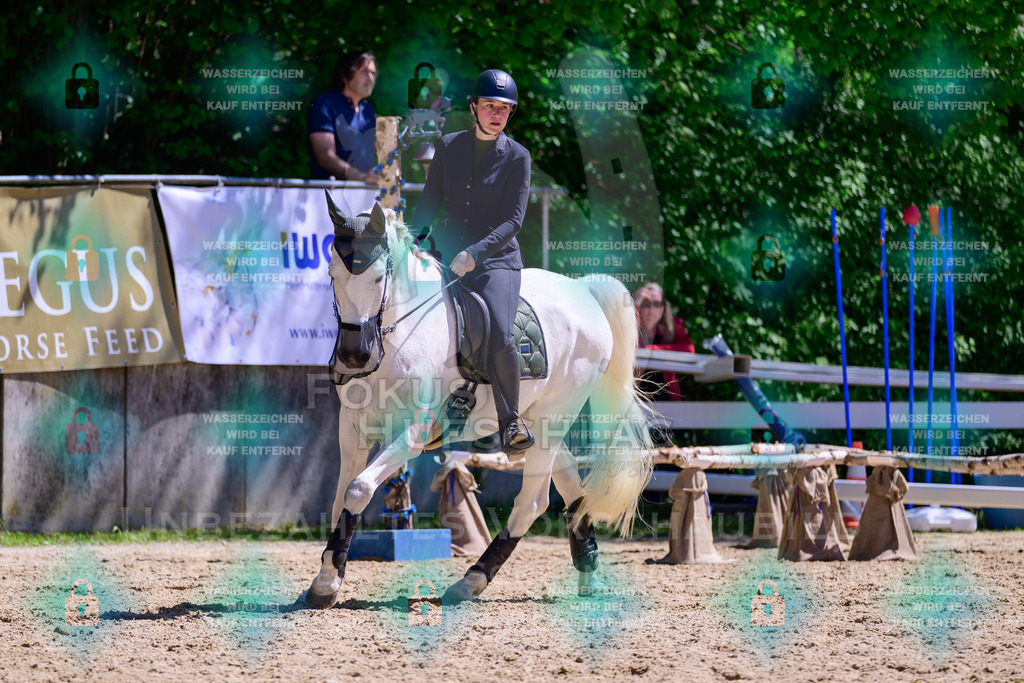 01052026-Giesenbach-02-Stiltrail-0322 | Fokus Hufschlag Fotografie - Realisiert mit Pictrs.com