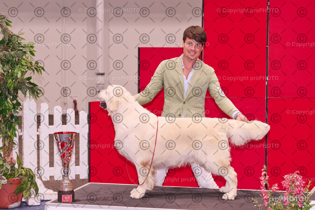 202406_ÖKV-IHA-Tulln24_NZ9_9614 | proPHOTO - Realisiert mit Pictrs.com