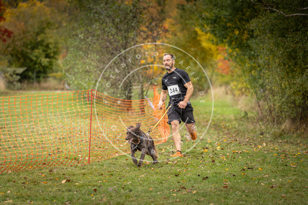 Pfotenfotografie_DV3A4259 | Hundefotografie, Tierfotograf, Pfotenfotografie, Fotoshooting Hund, Hunde Portrait, Hundesport, Hundeportraits, Heideshooting, Hunde, Sportfotograf, Hundefotograf, Turnierhundsport, THS,  - Realisiert mit Pictrs.com