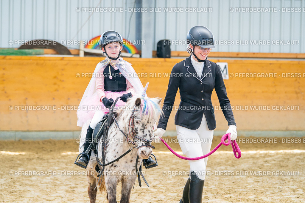 DSC00530 | Pferdegrafie