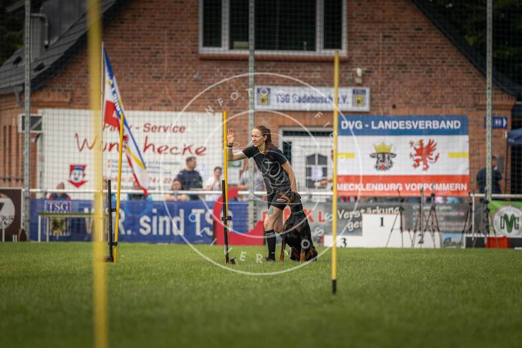 Pfotenfotografie_DV3A0536 | Hundefotografie, Tierfotograf, Pfotenfotografie, Fotoshooting Hund, Hunde Portrait, Hundesport, Hundeportraits, Heideshooting, Hunde, Sportfotograf, Hundefotograf, Turnierhundsport, THS,  - Realisiert mit Pictrs.com