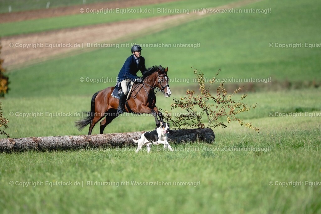 20251011_Jagd-Marbach_0233 | Foto: Thomas Hartig