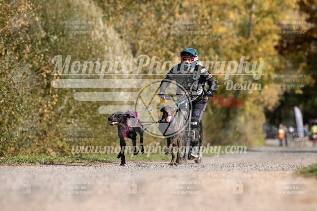 TSB_2023_E2_DS2-6 | PayLife