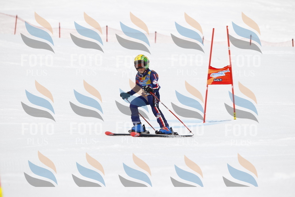 _U3G7535 | holidayphoto