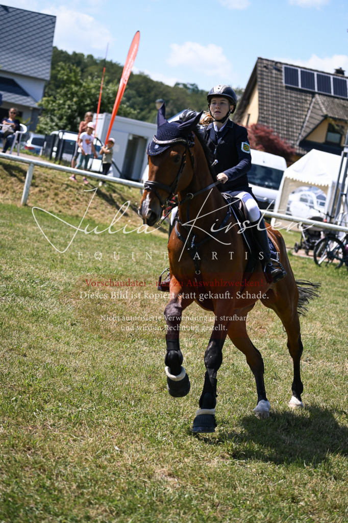 DSC_0145 | Pferde- und Turnierfotografie in Westsachsen. Pferdeportraits, Auftragszeichnungen und intuitive Kunst.