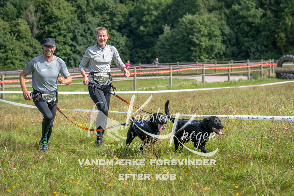 1148_ZZ91804 | kk-dogfotos