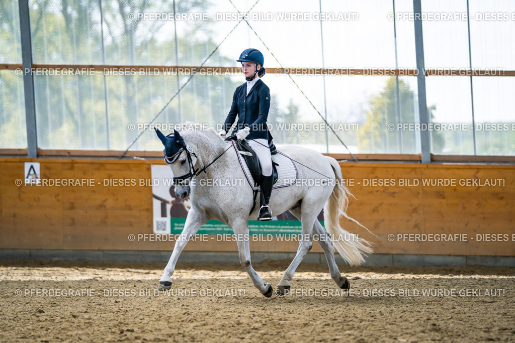 DSC05508 | Pferdegrafie