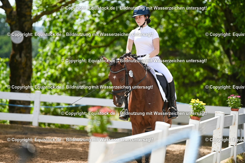 20230715_09_Dressur-WB_0155 | equistock