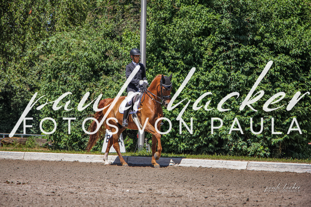 IMG_0774 | Erleben Sie dynamische Sport- und emotionale Tierfotografie in Süddeutschland mit Fotos von Paula. Spezialisiert auf Pferde- und Hundefotografie sowie Sportevents. Kontaktieren Sie mich für einzigartige und ausdrucksstarke Bilder Ihrer besonderen Momente. - Realisiert mit Pictrs.com