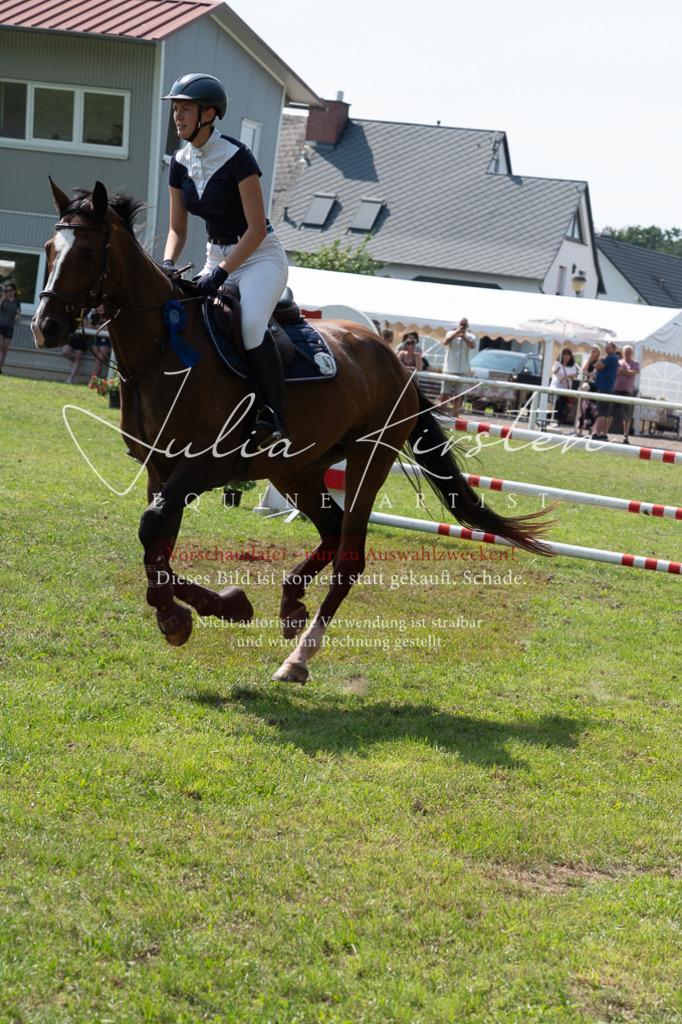 DSC_0695 | Pferde- und Turnierfotografie in Westsachsen. Pferdeportraits, Auftragszeichnungen und intuitive Kunst.