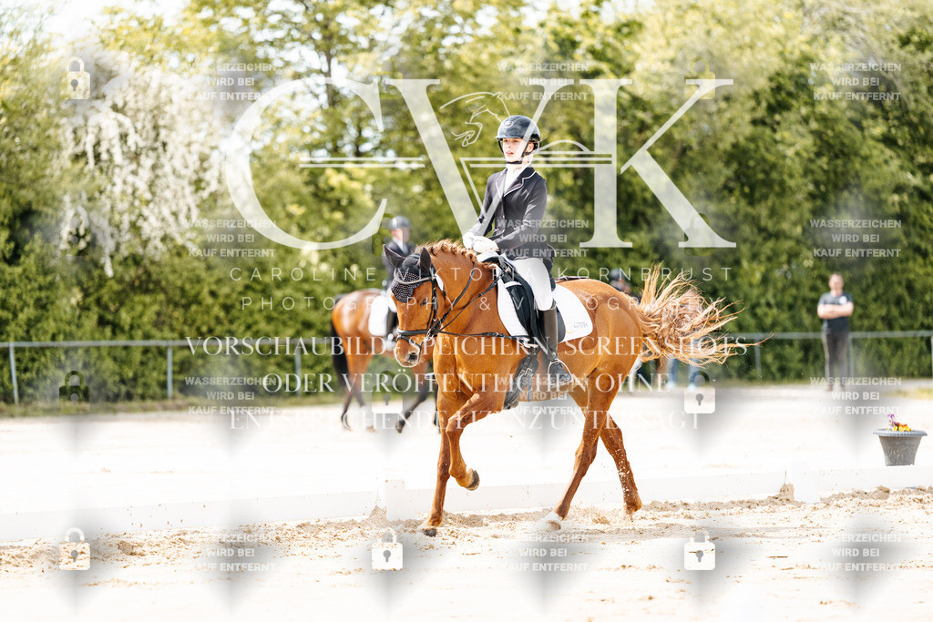 CK901702 | Turnierfotografie Pferdefotografie Trier Rheinland-Pfalz Pferdesport Reitsport Tierfotografie Sportfotografie Pferdevideo Pferdevideografie Equestrianvideography equestrianphotography  - Realisiert mit Pictrs.com