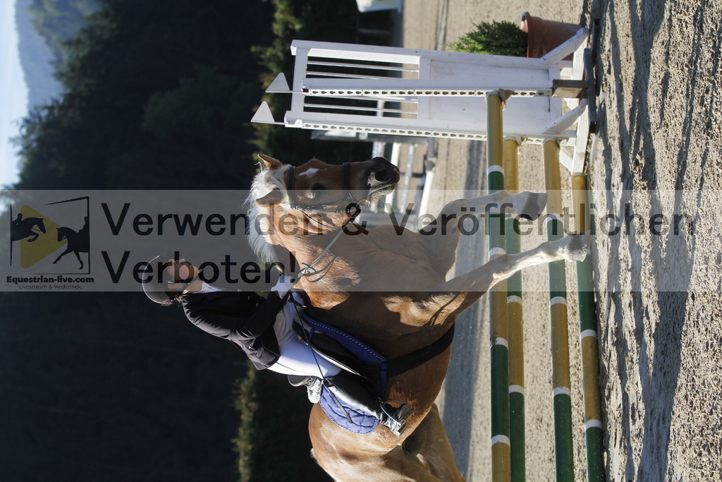 _MG_3832 | equestrian-live-com