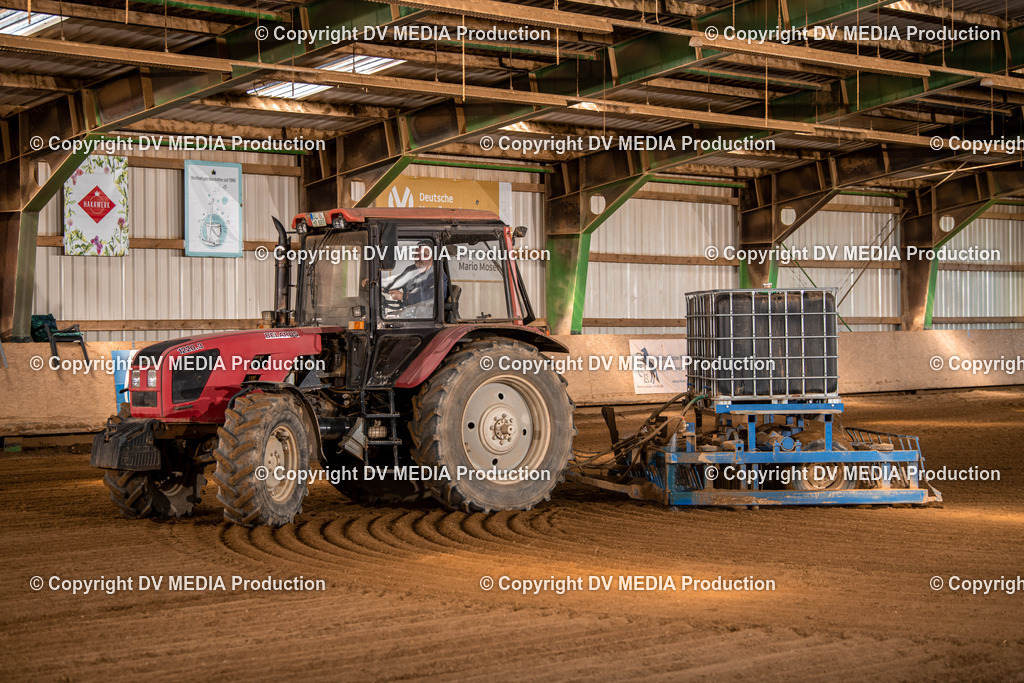 Balingen Tag 1-841 | dv-media-shop - Realisiert mit Pictrs.com