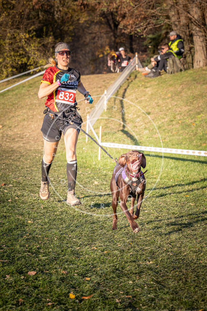 CaniXpix_0L8A0677 | Hundefotografie, Tierfotograf, Pfotenfotografie, Fotoshooting Hund, Hunde Portrait, Hundesport, Hundeportraits, Heideshooting, Hunde, Sportfotograf, Hundefotograf, Turnierhundsport, THS,  - Realisiert mit Pictrs.com