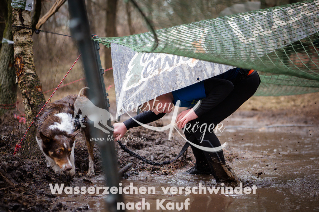 0904_ZZ96883 | kk-dogfotos