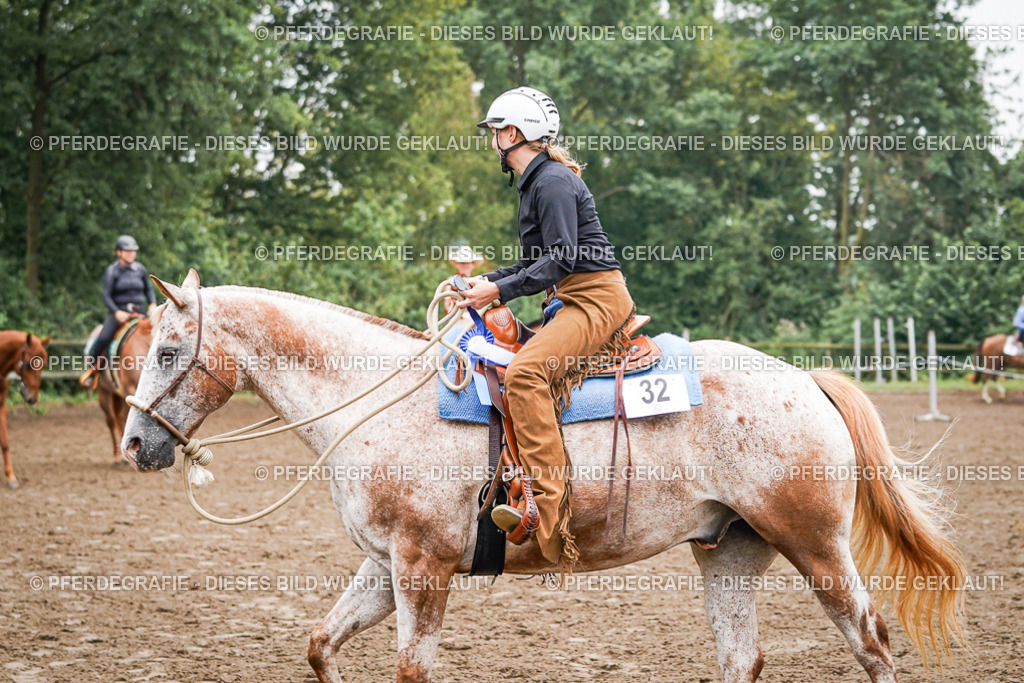 DSC02124 | Pferdegrafie