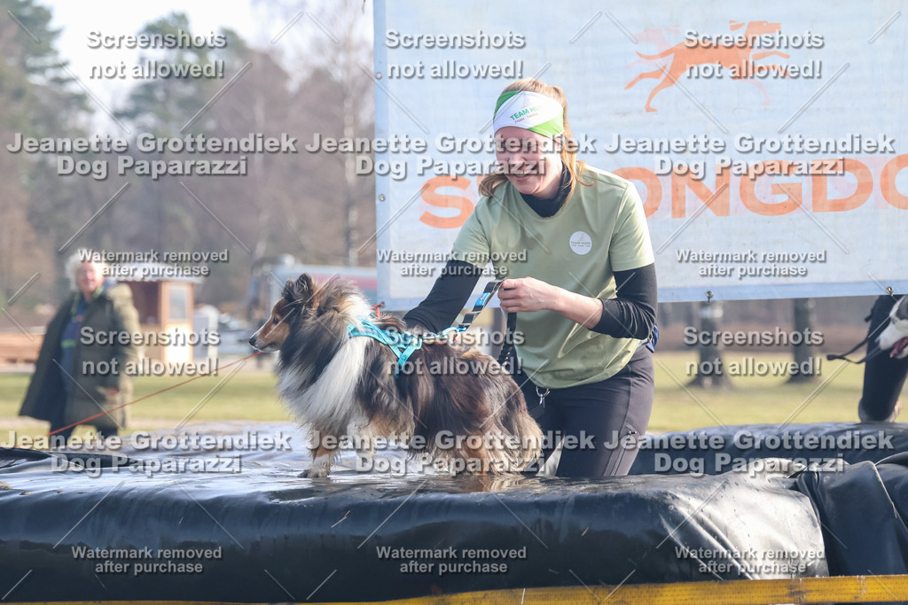 Dog Paparazzi - Strongdog North Mrz26-466 | Dog Paparazzi Jeanette Grottendiek Fotografie & Videografie - Realisiert mit Pictrs.com