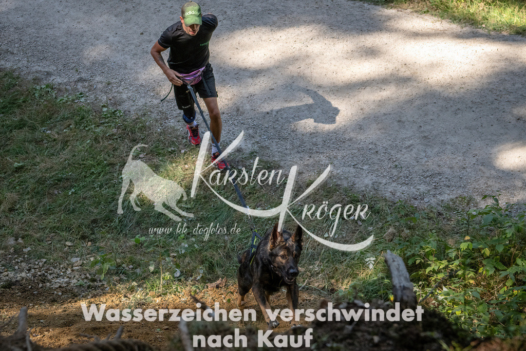 1241_ZZ94952 | kk-dogfotos