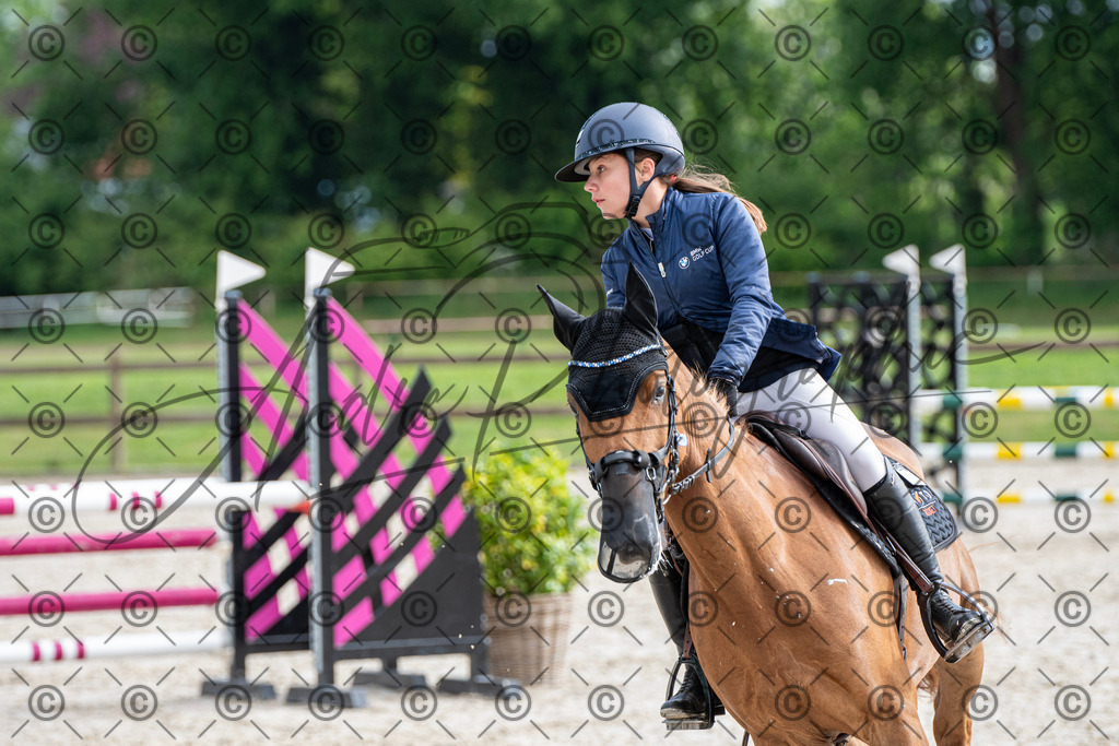 KPT_7962 | andre_photographic