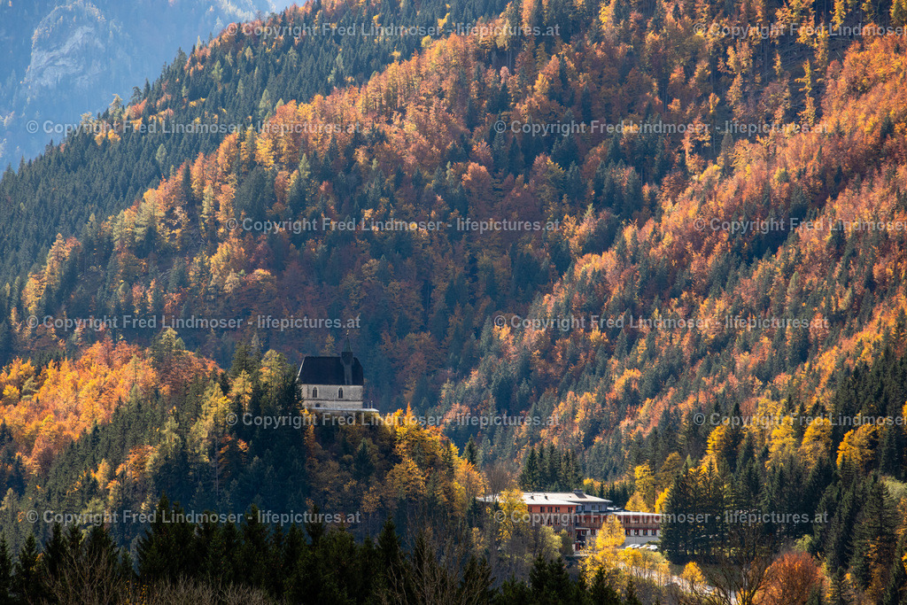 Mariazell Goldener Herbst 23102021-0384 | Fotos und Fotoprodukte - Realisiert mit Pictrs.com