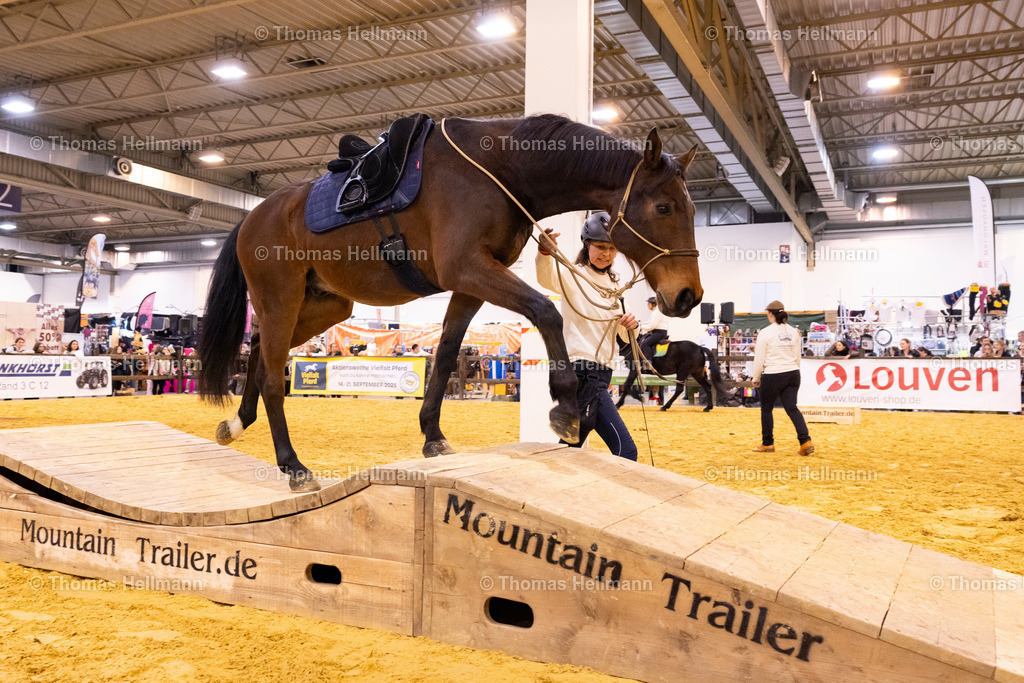 TH_Mountain Trailer_27212 | EQUITANA 2025 am 11.03.25 in Essen