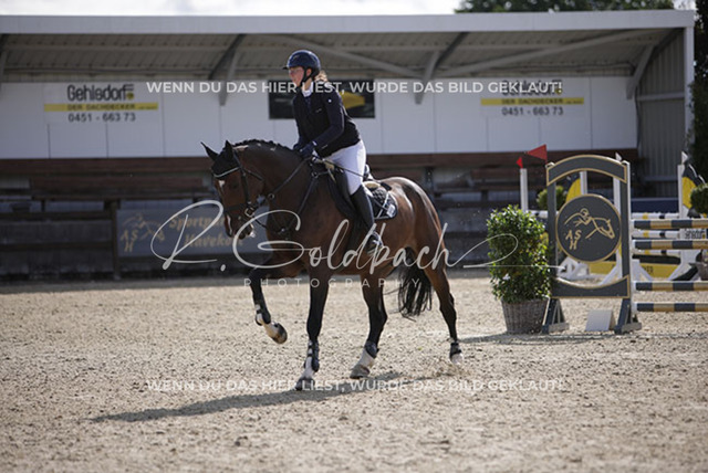 1J2A7220Nike Bohrer_ Steendieks Calvin_ Kn1041_ Havekost | Foto- und Videografie für alles rund ums Pferd. Hochwertige Bilder und Videos vom Spring- und Dressurreiten, Voltigieren & mehr. Jetzt aktuelle Veranstaltungen und Preise im Shop ansehen. - Realisiert mit Pictrs.com