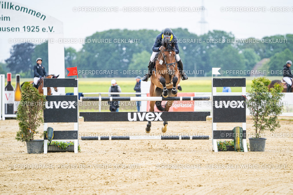 DSC08988 | Pferdegrafie