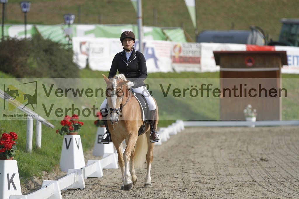 _MG_5803 | equestrian-live-com