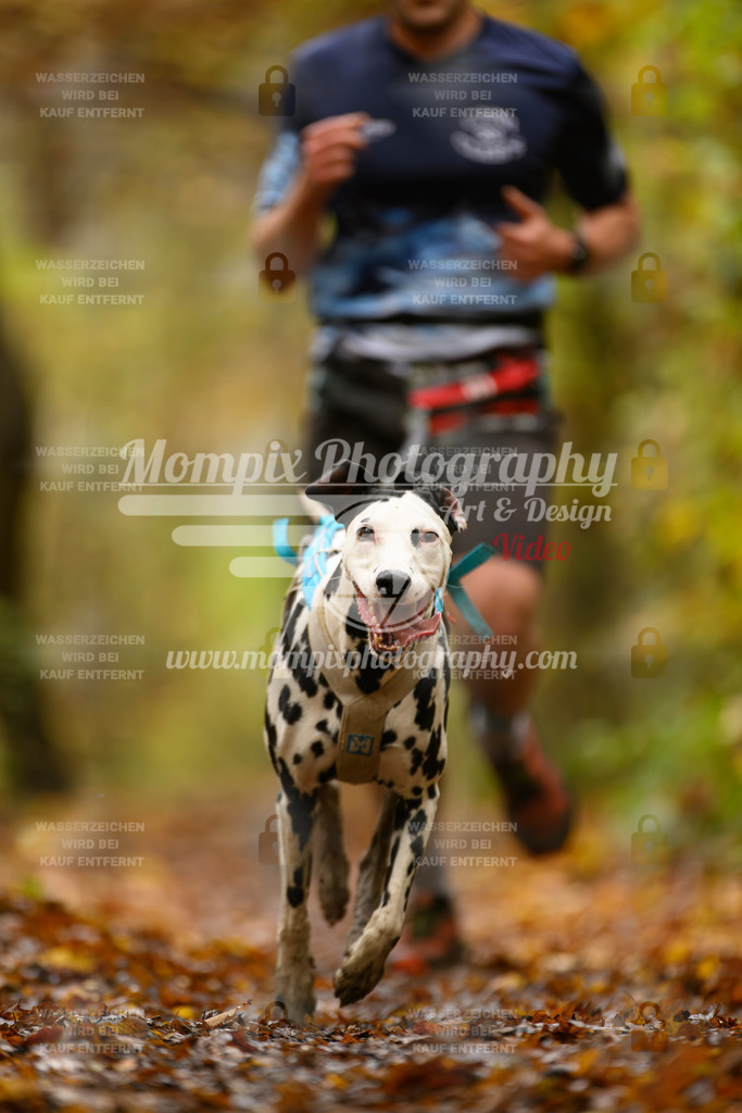 MompixPhotography_CD7S_DI_CCL-24 | mompixphotography