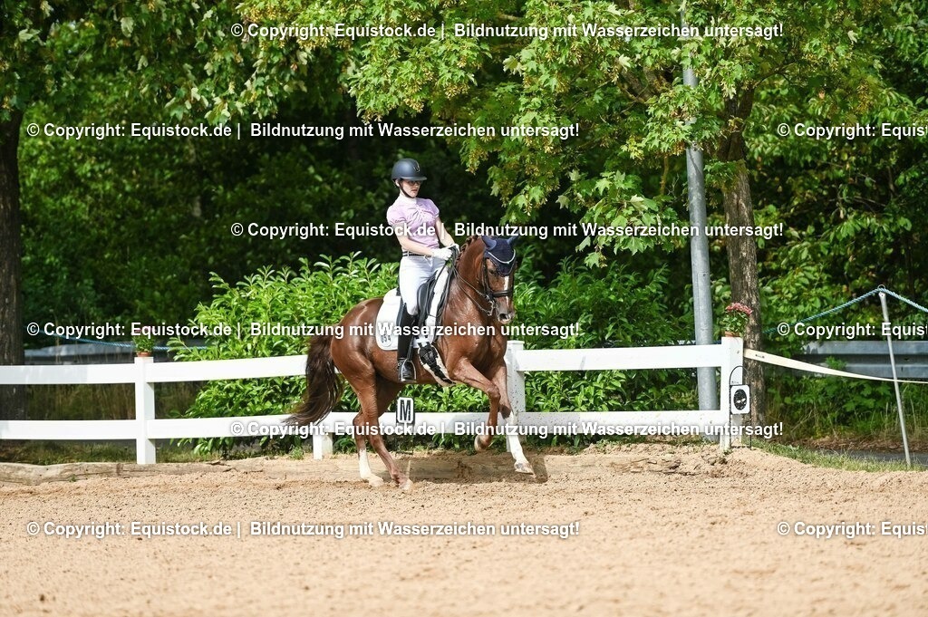 20230716_01_Dressurprüfung Kl.M_0391 | equistock