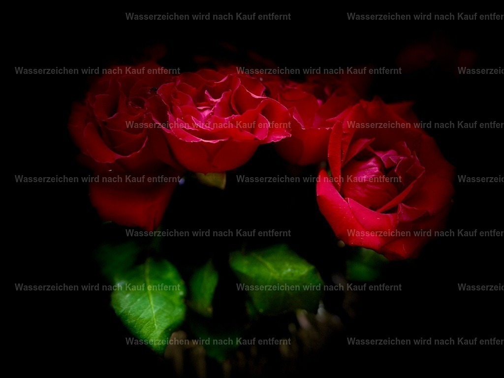 IMG_3393 | heikomoeller - Realisiert mit Pictrs.com