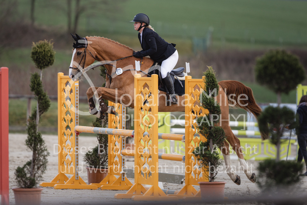 230406_Frühlingsfest_A-Stil2-205 | Deine schönsten Turniermomente als professionelle Fotos! Entdecke hochwertige Pferdesport-Fotografie im Online-Shop. Jetzt Fotos finden & bestellen!