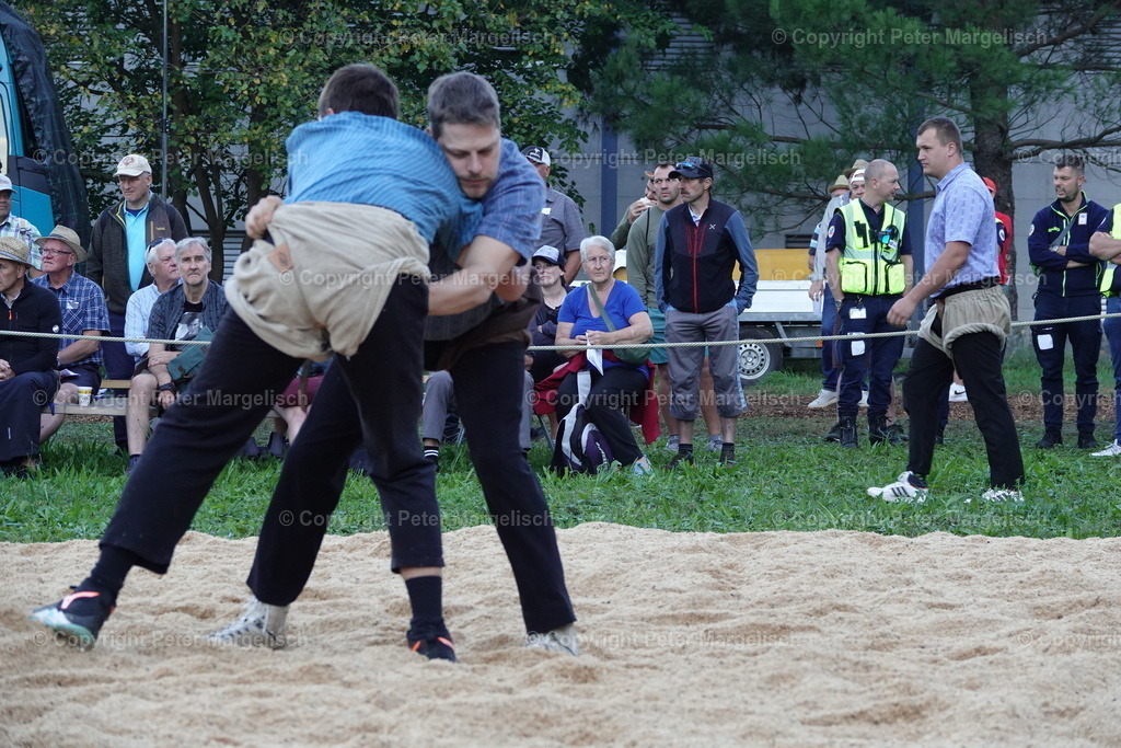 DSC01591 | Schwingen - Realisiert mit Pictrs.com
