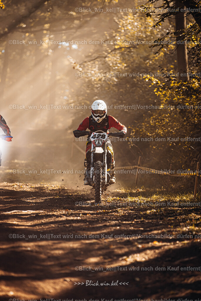 E68A6177 | blick_win_kel