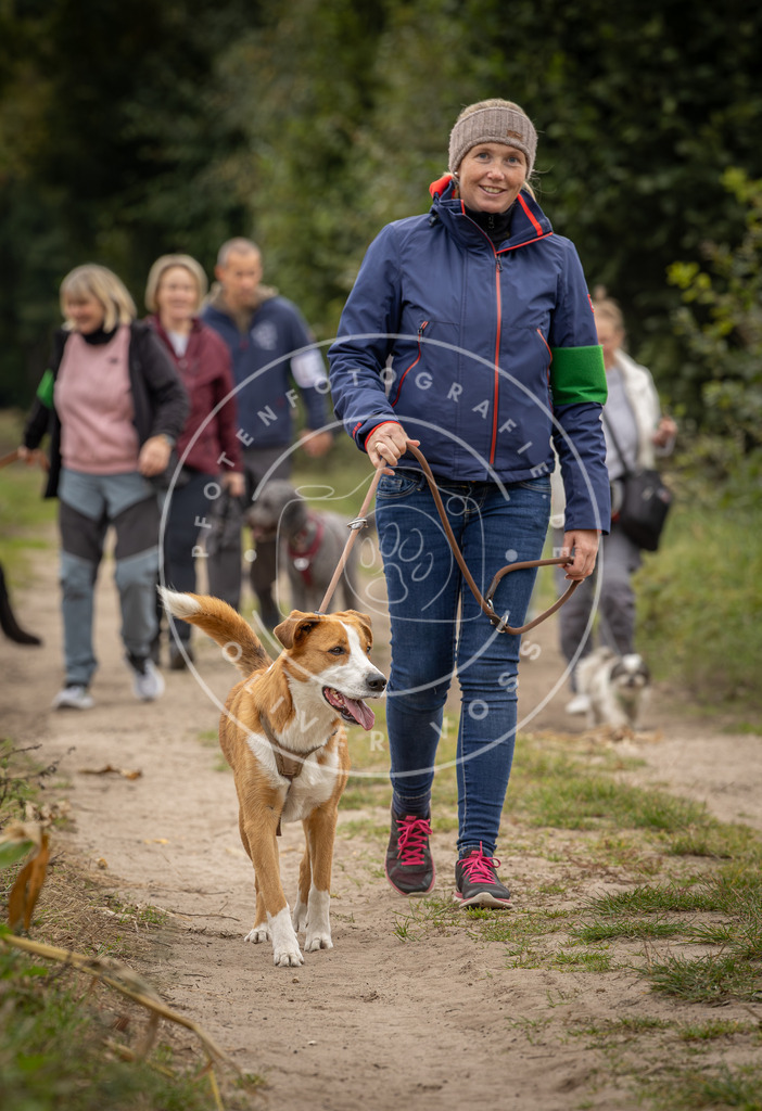Pfotenfotografie_DV3A7639 | Hundefotografie, Tierfotograf, Pfotenfotografie, Fotoshooting Hund, Hunde Portrait, Hundesport, Hundeportraits, Heideshooting, Hunde, Sportfotograf, Hundefotograf, Turnierhundsport, THS,  - Realisiert mit Pictrs.com