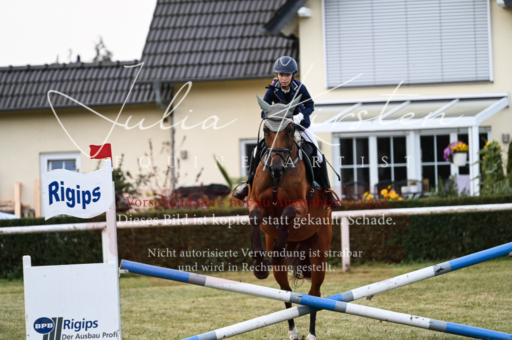 DSC_5693 | Pferde- und Turnierfotografie in Westsachsen. Pferdeportraits, Auftragszeichnungen und intuitive Kunst.