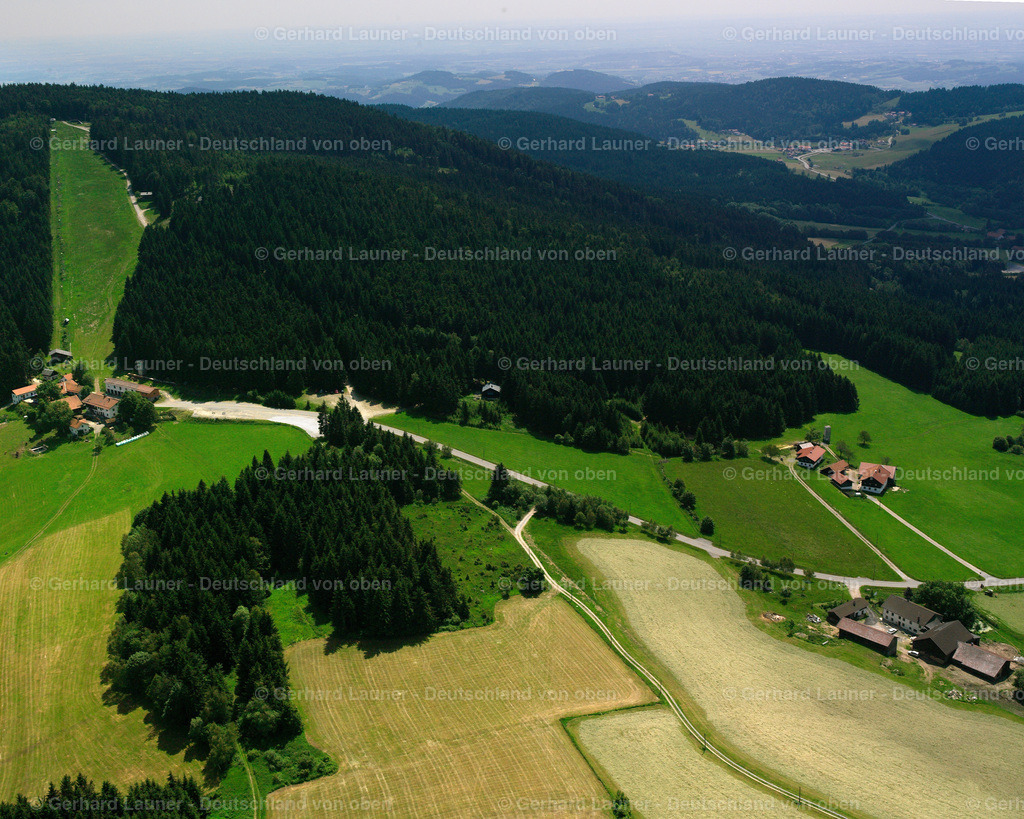 2519651 | Ahornwies, Sankt Englmar