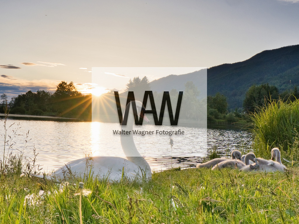 WWW06221 | walter-wagner-fotografie
