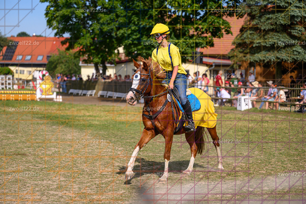 30 Jahre RFV Pulsnitz e.V., Pulsnitz am 09.08.2026 | Zur 28. breitensportlichen Veranstaltung des RFV Pulsnitz e.V. fanden verschiedene Wettbewerbe in nahezu allen Disziplinen des Pferdesport statt. - 05 Kostüm-Stilspring-Wettbewerb - Realisiert mit Pictrs.com