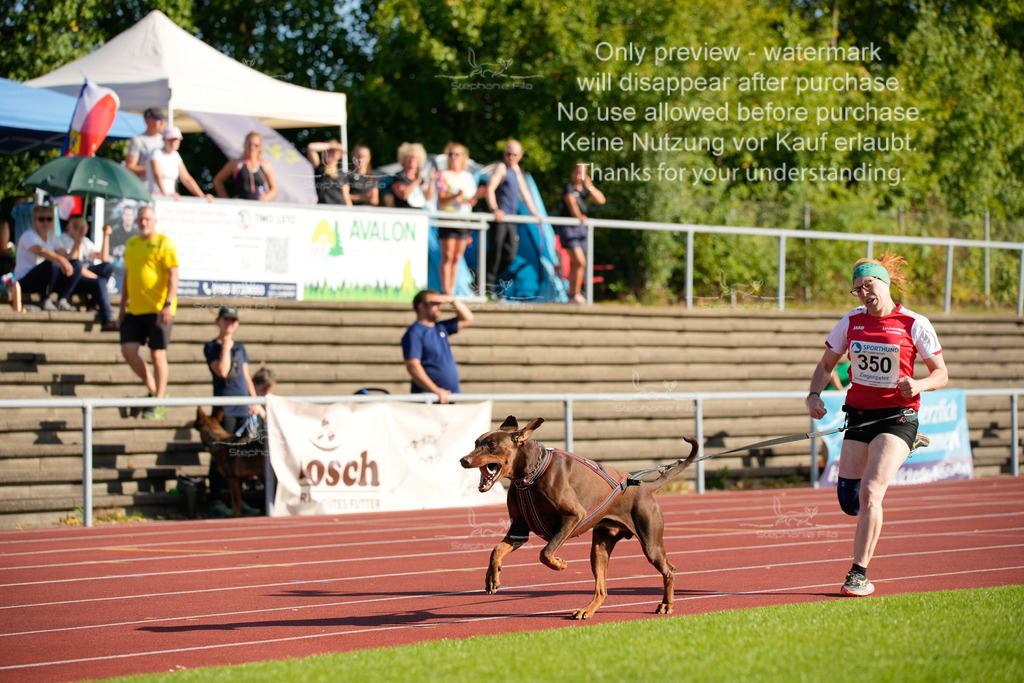 Sonntag_Staffel (154 von 336) | stephaniefillaphotographie - Realisiert mit Pictrs.com