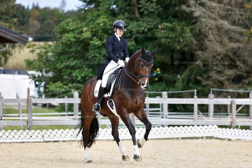 11-091-Dressur S___-StoibPH-1267 | working equitationturnier fotograf videograf stoibphotography marixx film working equitation deutschland reitsport turnierfotografie eventfotografie equestrian events