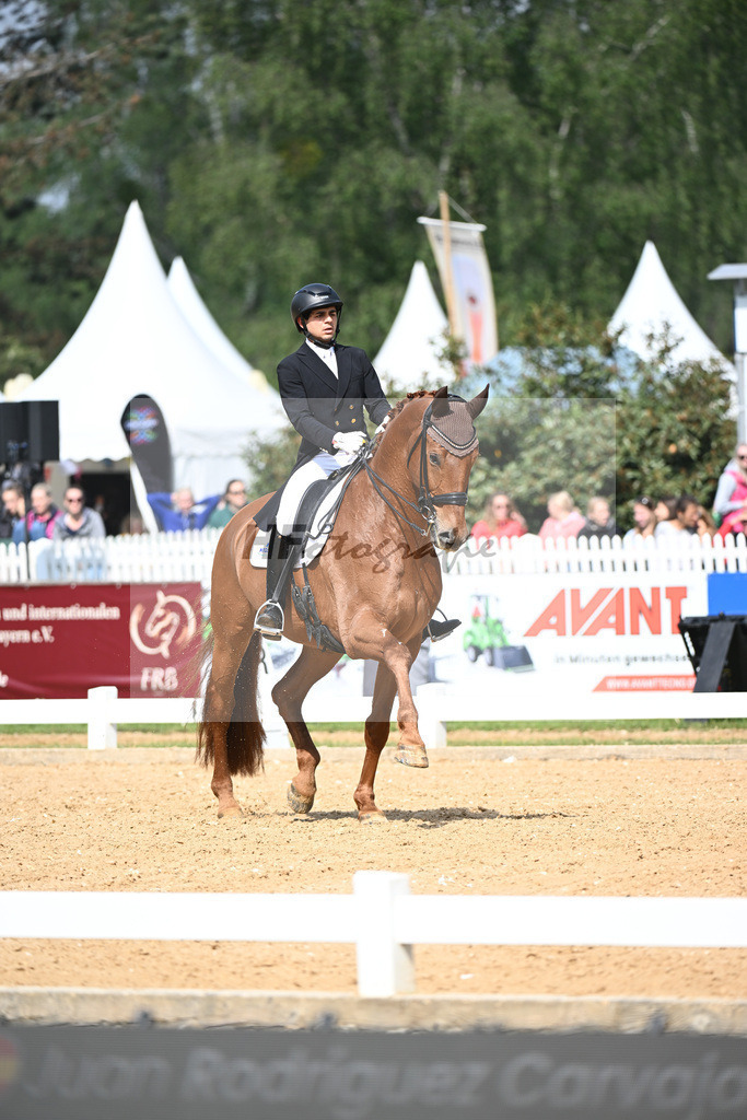 Carvajal_Meggles Verdi_12240152 | hf-fotografie - Realisiert mit Pictrs.com