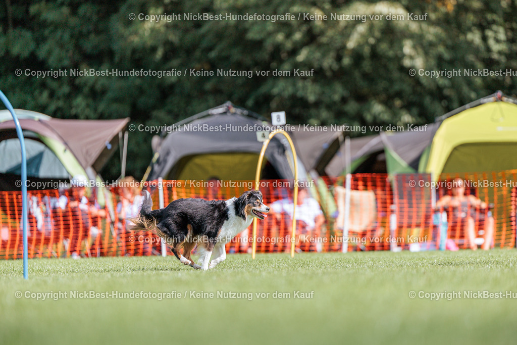 BSP Hoopers-H1-2026-Nickbest-Hundefotografie-TuS Komet Arsten e.V.-9565 | Dein Hund! Dein Moment! Deine Erinnerungen! Hundefotografie in Bremen Blumenthal. Ich fange die besonderen Momente deines Vierbeiners ein – ob Indoor mit Blitzanlage oder in der freien Natur. Sicher dir dein Moment und dein Termin für eure Erinnerungen.