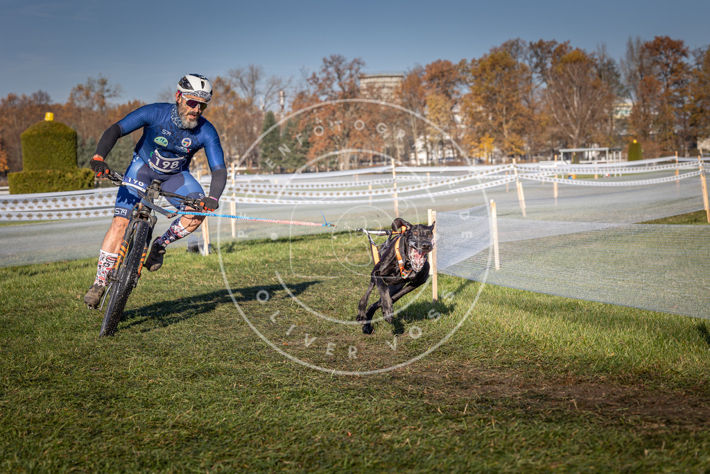CaniXpix_0L8A4410 | Hundefotografie, Tierfotograf, Pfotenfotografie, Fotoshooting Hund, Hunde Portrait, Hundesport, Hundeportraits, Heideshooting, Hunde, Sportfotograf, Hundefotograf, Turnierhundsport, THS,  - Realisiert mit Pictrs.com