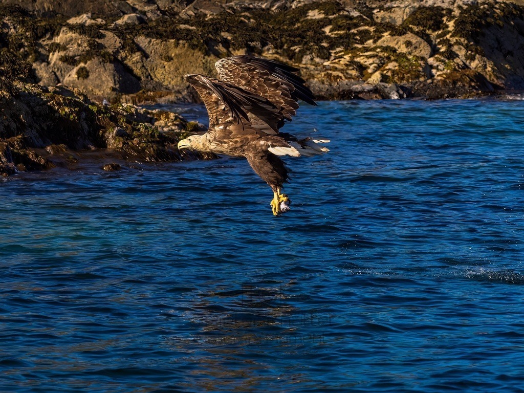 P1001629-LR-topaz-denoise-enhance | Natur im Moment - Realisiert mit Pictrs.com