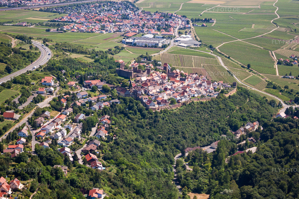 Luftbild: Ortsansicht von Westen in Neuleiningen im Bundesland Rheinland-Pfalz in Deutschland. Foto: IMG_30106.jpg vom 05.07.2010 durch Werner Riehm/FLY-FOTO.de